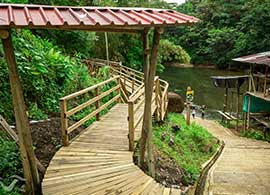 Sendero Tutunendo